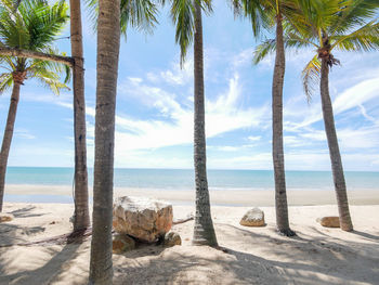 Scenic view of palm trees on beach against sky