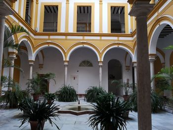 Low angle view of palm trees and building