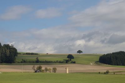 Scenic view of field against sky