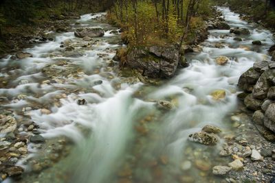 Stream flowing through rocks in forest