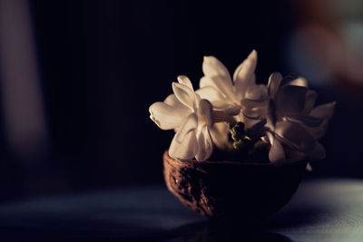 Close-up of rose flower vase on table