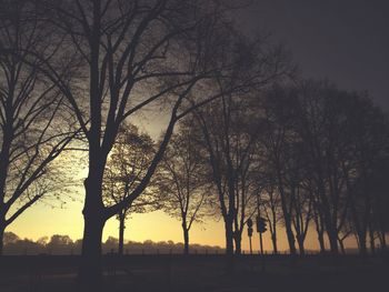 Bare trees on landscape at sunset