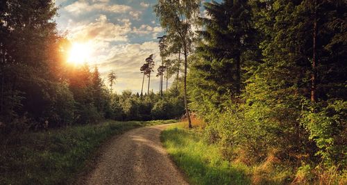 Road amidst trees on field against sky at sunset