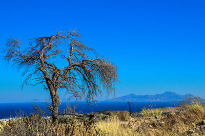 Scenic view of calm sea against clear sky