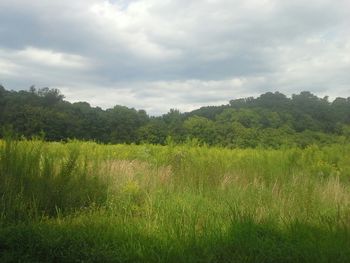 Scenic view of grassy field against cloudy sky