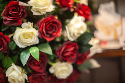 Close-up of red roses