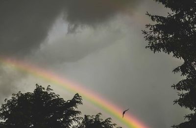 Low angle view of cloudy sky