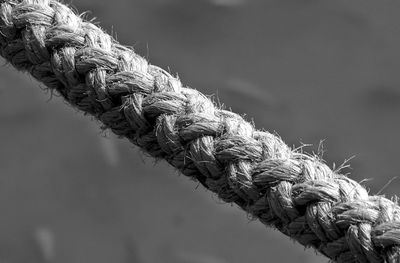 Close-up of rope tied on wood