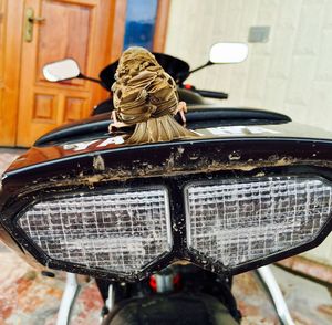 Bird perching on motorcycle