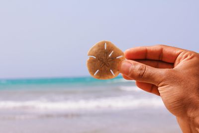 Person holding apple against sea