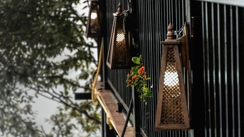 Low angle view of flowering plants on metal structure