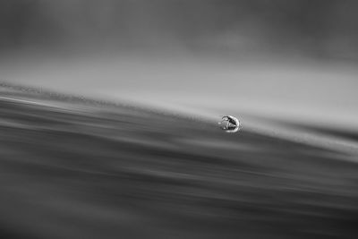 Close-up of water drop