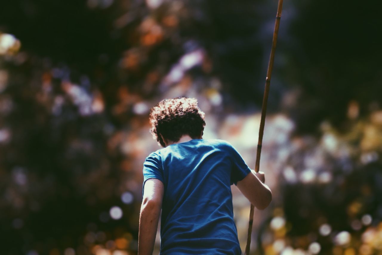 lifestyles, leisure activity, focus on foreground, casual clothing, standing, rear view, men, three quarter length, waist up, holding, boys, selective focus, outdoors, tree, person, childhood, day, nature