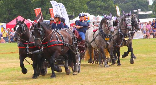 Group of people riding horses