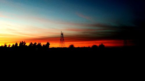 Silhouette of trees at sunset