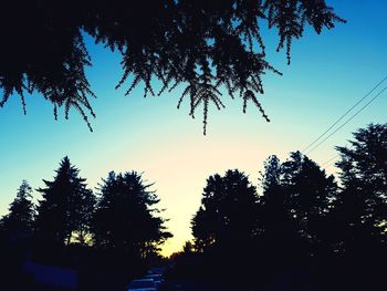 Low angle view of silhouette trees against sky during sunset