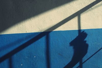 Shadow of person and bars on wall