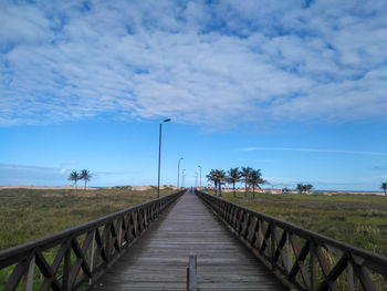 Walkway amidst trees against sky