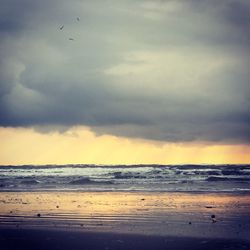 Scenic view of beach against sky during sunset