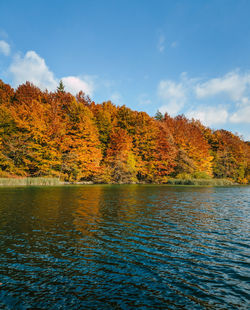 Idyllic autumn scenery with lake surrounded by forest in beautiful fall colors