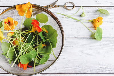 High angle view of potted plant on table