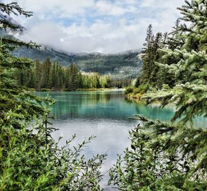 Scenic view of lake in forest against sky