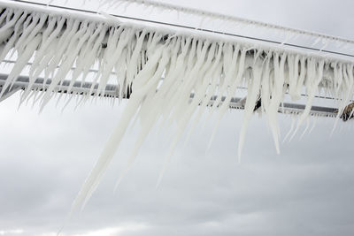 Low angle view of hanging water against sky