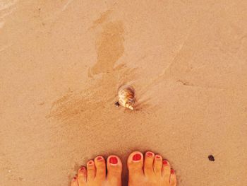 Low section of woman standing on beach