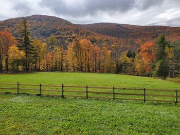 Scenic view of landscape during autumn against sky