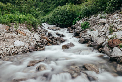 Scenic view of stream flowing through forest