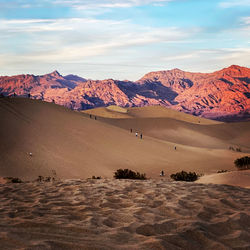 Scenic view of desert against sky