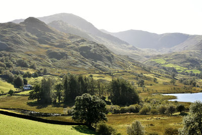 Scenic view of field and mountains against sky