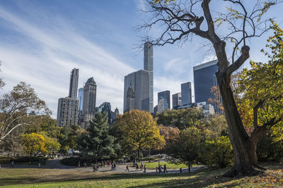 Trees in park with city in background