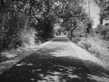 Empty road along trees