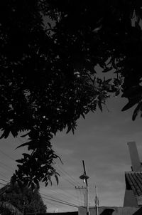 Low angle view of trees and building against sky