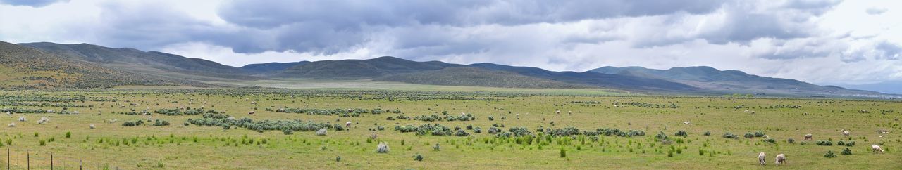 Panoramic view of landscape against sky