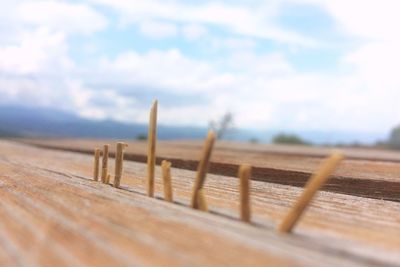 Wooden posts in the sea