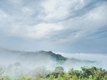 Scenic view of trees against sky