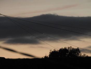 Low angle view of silhouette trees against sky at sunset