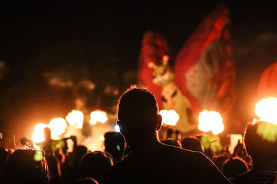 Group of people at music concert