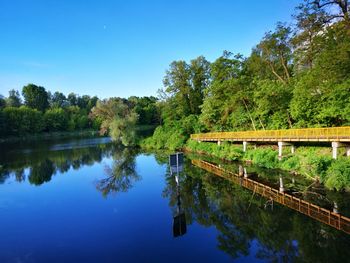 reflection