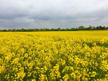 Scenic view of field against cloudy sky