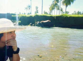 Reflection of trees in water