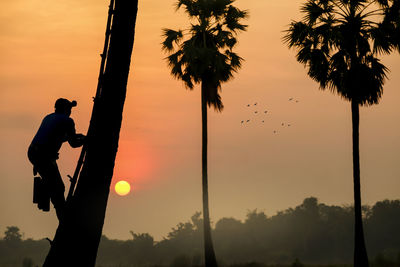 Silhouette man and palm trees against sky during sunset