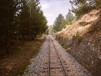 Walkway amidst trees against sky