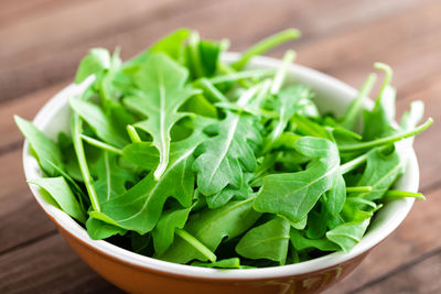 Close-up of green leaves