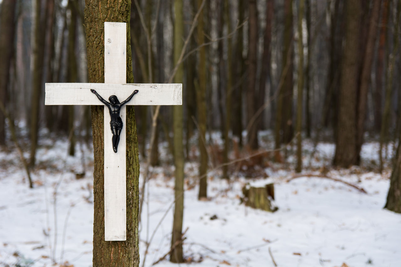 CROSS ON SNOW IN FOREST