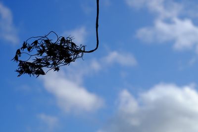 Low angle view of blue sky