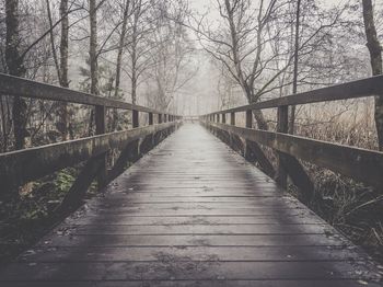 View of forest in fog