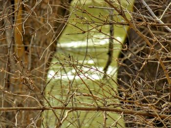 Chainlink fence